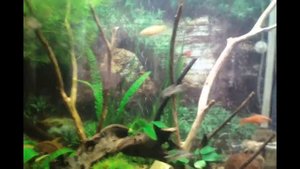 Подмена воды после  внесения AQUACONS Чистая вода