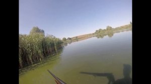 Охота с немецким ягдтерьером по утке