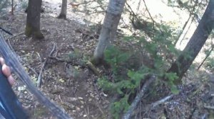 охота на медведя осень 2021