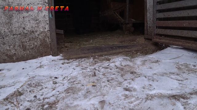 ?? ЖИЗНЬ В Казахстане. Деревенская жизнь. #деревня @жизнь в деревне @Заимка на Урале @TheUlengovs