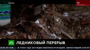 В Пензе нашли останки шерстистого носорога
