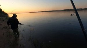 РАЗВЕДКА ПО ЛЕЩУ НА ВОЛГЕ УДАЛАСЬ. Рыбалка на фидер в Волгоградской области