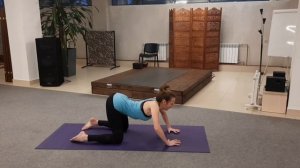 Кошка на четвереньках.mp4