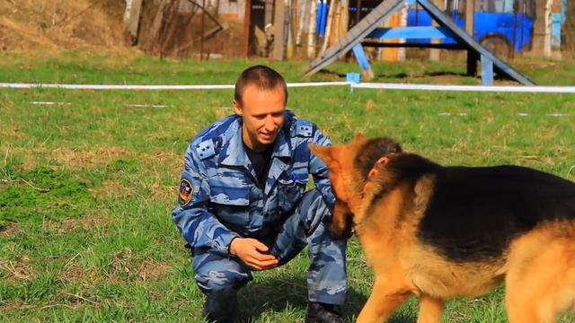 Ко мне, Мухтар. Клип. смотреть онлайн