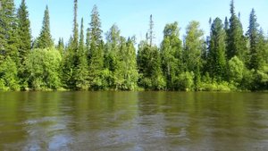 Ловля хариуса на мушки и ловля ленка на блесну по реке Кунгус 2016