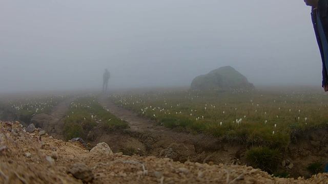 Var-Git Çiçekleri....Yaylaların beyaz çiçeği смотреть онлайн
