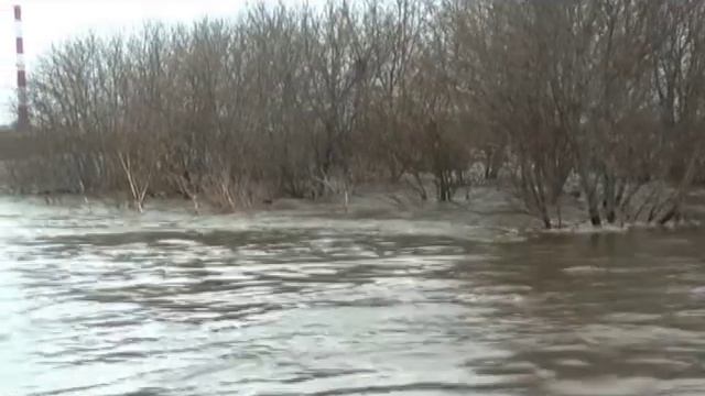 В Шадринске пик паводка прошел, волна «идет» на Мехонское смотреть онлайн