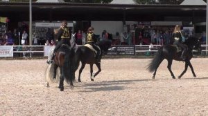 Великолепные андалузы Hidalgo Show Team (Конное шоу "Идальго") на главном манеже Иппосфера 2023