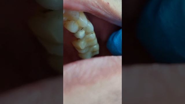 ??? СOF ТИШИМНИ ЙУКОТИШНИ ХОХЛАМАЙМАН❗️?????СРОЧНО КУРИНГ❗️ смотреть онлайн