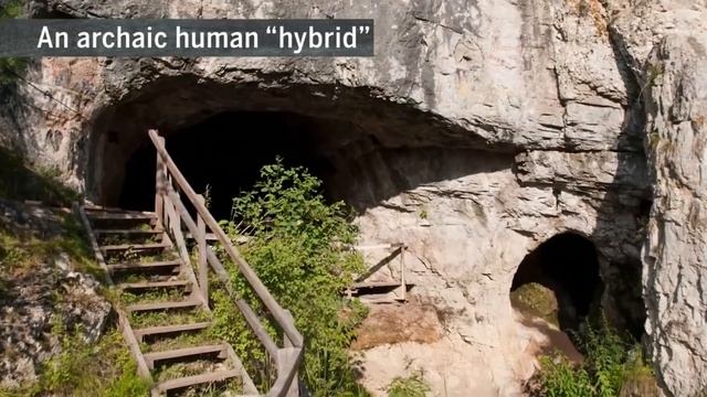Первые генетически отредактированные люди и другие научные итоги 2018 года