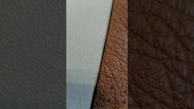 Обложка на паспорт из натуральной кожи страуса