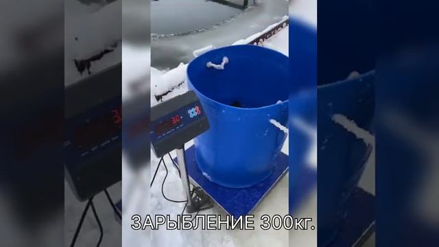 РК «Чайка» сегодняшний отчёт о зарыблении в 300 кг., специально для наших хейтеров. смотреть онлайн