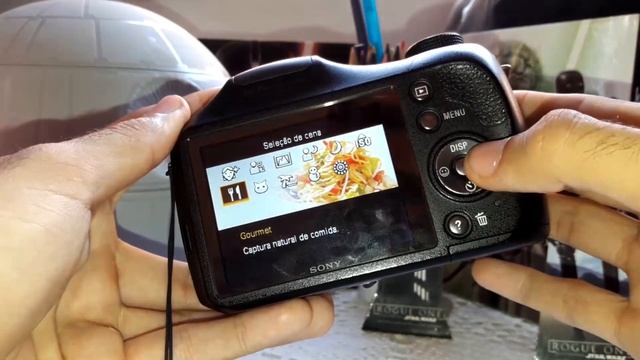 SONY DSC-H100