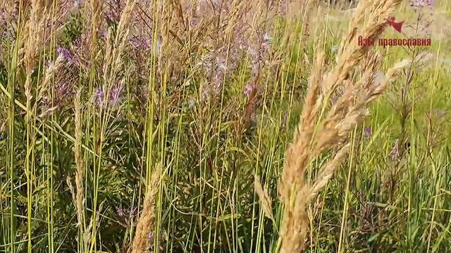 Не бери все На себя!...Доверяй Богу!. смотреть онлайн