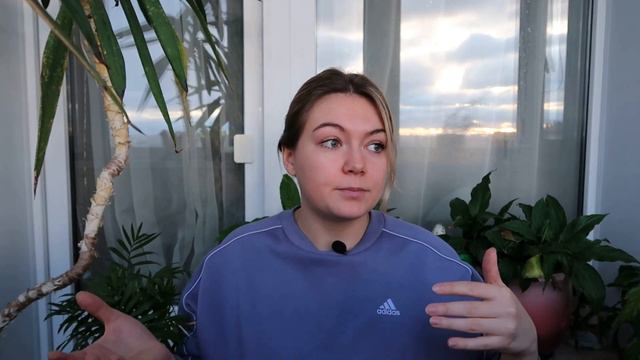 Мои ожидания от психотерапии и реальность / Год в личной терапии смотреть онлайн