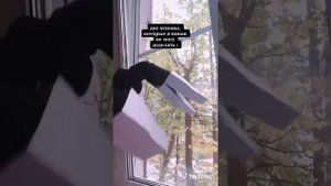 видео из тик ток драконы из бумаги( видео не мои)