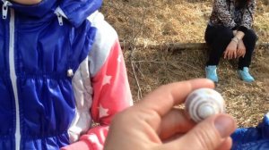 Северная Осетия. Урсдонское ущелье.