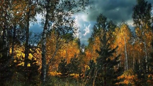 Доброслов. Борис Пастернак. Осень. смотреть онлайн