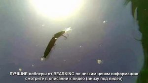 Лучшая копия воблера Jackall Magallon от BEARKING