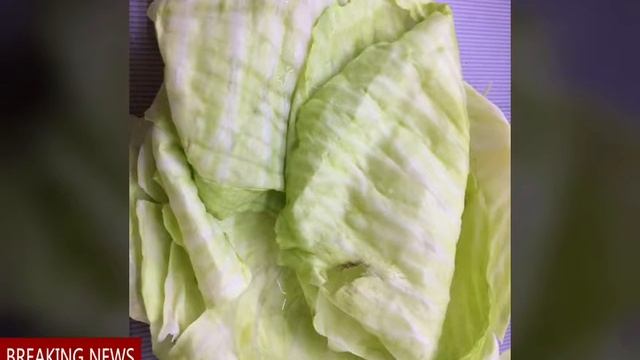 Фаршированный перец и голубцы в одной кастрюле смотреть онлайн