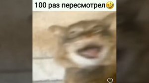 Точь в точь