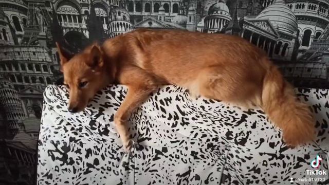 Юта❤