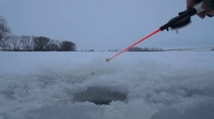 Тест блесны "маропедка" 36мм