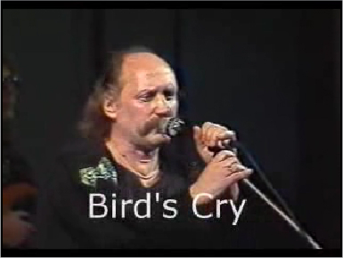 крик птицы песняры слушать. песни крик птицы. крик неуснувшей птицы. там вдали за рекой аренсутй. песни крик птицы.