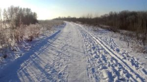 Зимние ботинки Lowa MONTREAL GTX MID 2019 год