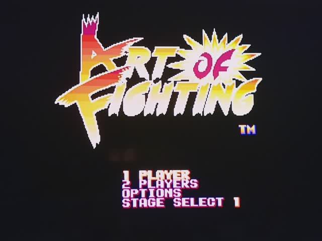 Art fighting. Sega. Обзор.