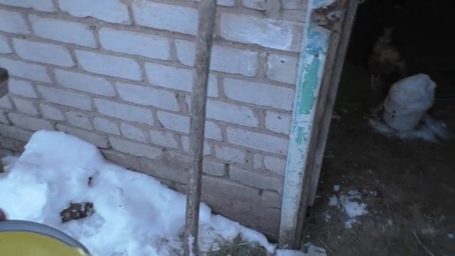 Девочки в курятнике Сосульки/Girls in the Coop Icicles смотреть онлайн