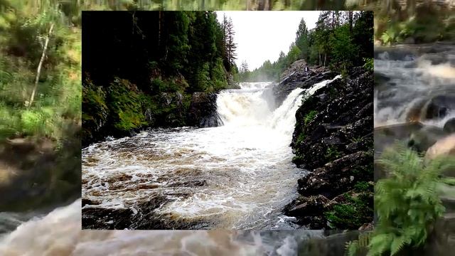 Заповедники  Европейского Севера России