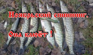 Ноябрьский спиннинг. Она клюет!.mp4