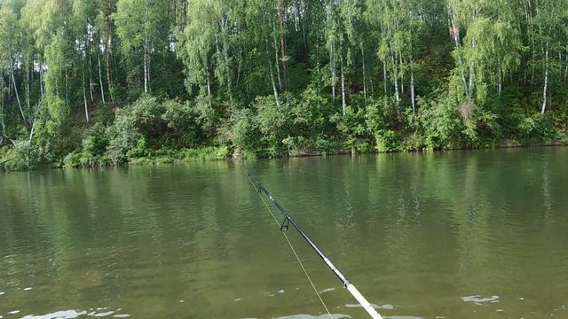 В первой же протоке нашёл ПОКЛЁВКИ ! смотреть онлайн