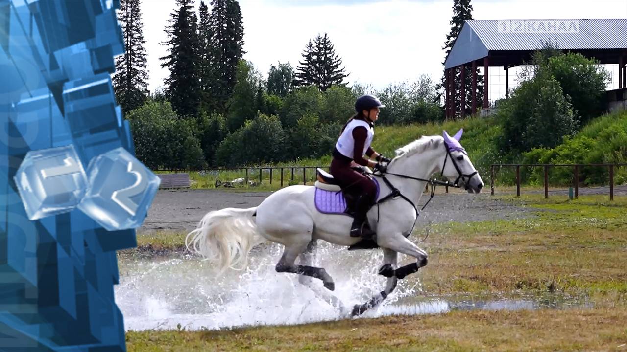 На базе конноспортивной школы «Эндорон» прошёл чемпионат Кемеровской области по конному троеборью
