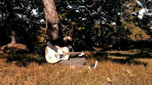 Was Wollen Wir Trinken (Fingerstyle Guitar Cover + TAB)