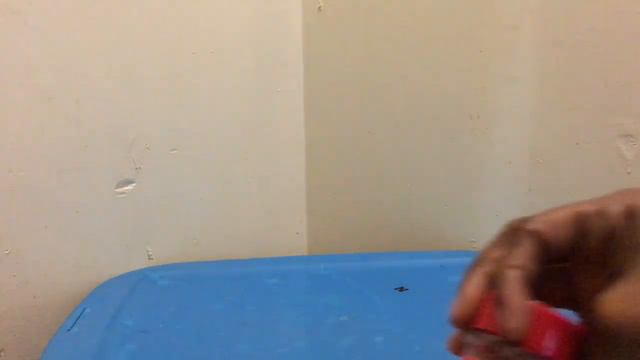 Family Dollar 75% OFF Sale смотреть онлайн