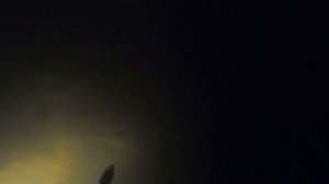 Подводная Охота-ТРОФЕЙ! Подводная Охота На Огромного Карпа! Подводная Охота в БАШКИРИИ!