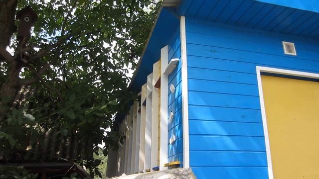 кассетный павильон для пчел ( часть 1) смотреть онлайн