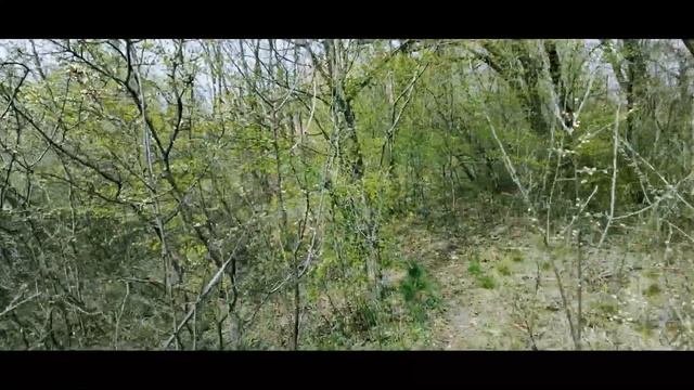 Анновский карьер. Кривой Рог.