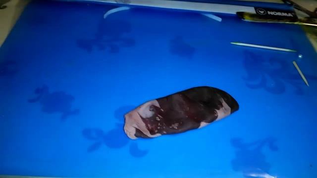 Дочкино кино ( Холодный фарфор от новичка ) Cold porcelain from the beginner смотреть онлайн