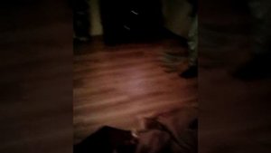 КаК надо мыть пол