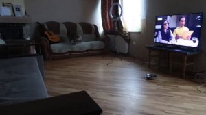 VLOG Алиса делает прическу сестре