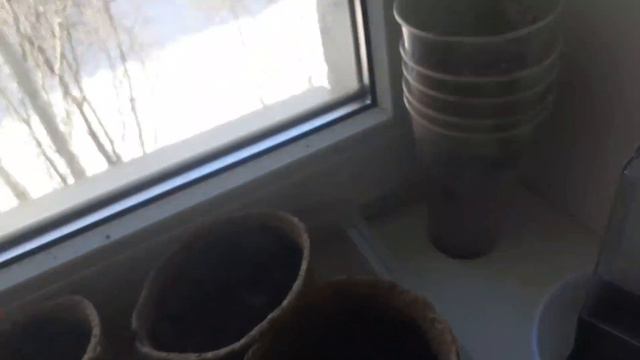 Самые лучшие горшочки