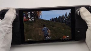 Steam Deck Gameplay - Dayz - SteamOS