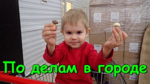 Поездка за продуктами и одеждой. (11.23г.) Семья Бровченко.