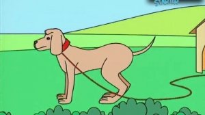 Spotlight Starter Video