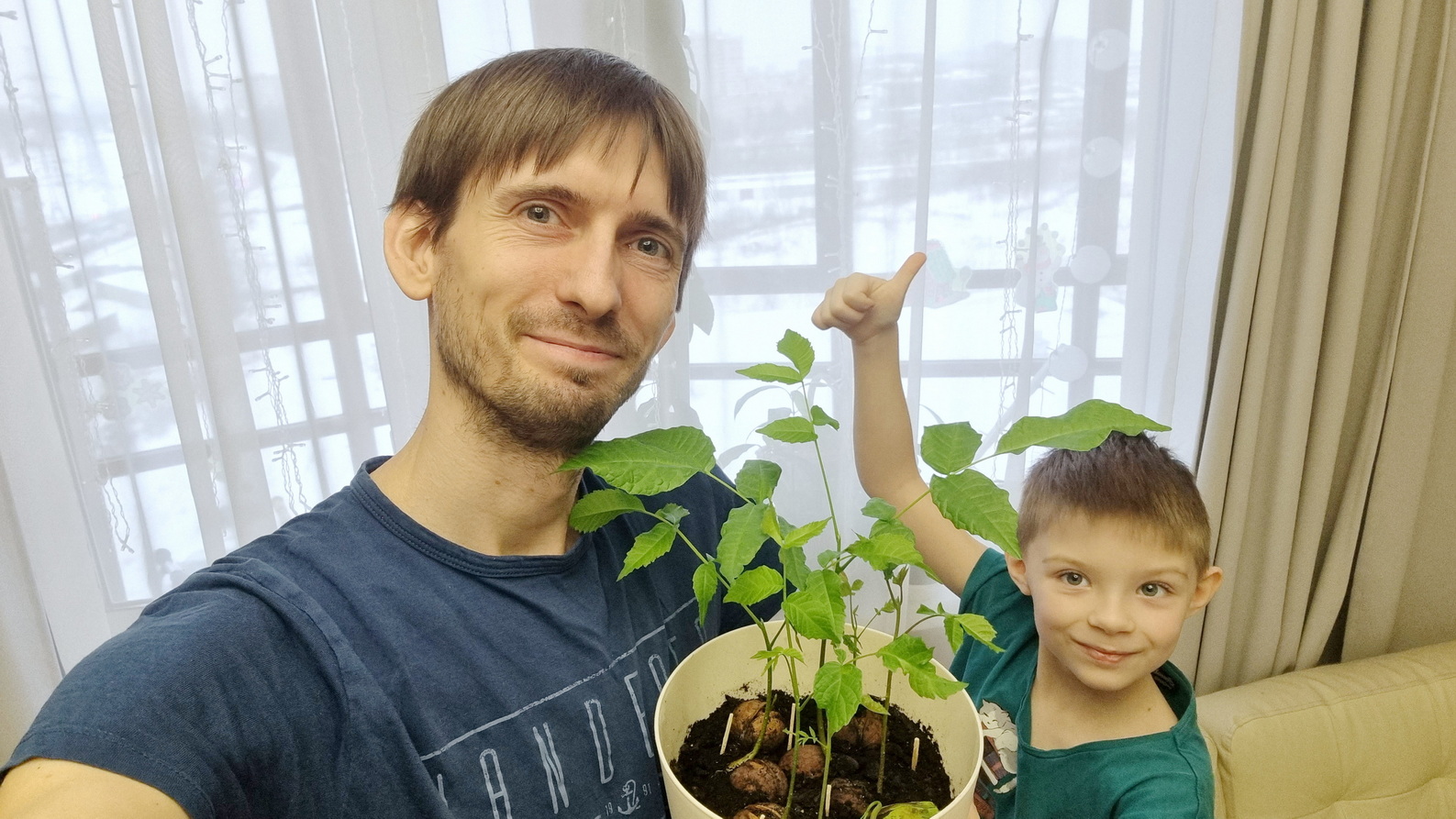 Как прорастить грецкий орех из магазина? #грецкийорех