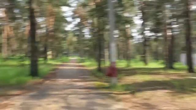 Сельцы