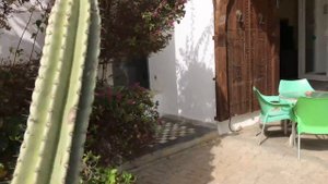 Тунис. Монастир / Eden Club Hotel, Monastir - ОБЗОР отеля - Анимация